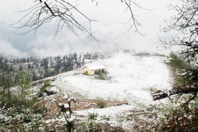 Dự báo thời tiết hôm nay ngày 11/3/2016: Trời rét đậm, có nơi dưới 12 độ