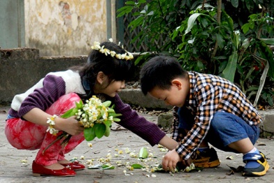 Dự báo thời tiết ngày mai 13/3: Trời đẹp trên cả nước dịp cuối tuần