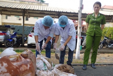 Mỡ bẩn suýt ‘đội lốt’ dầu cá đầu độc người tiêu dùng