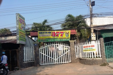 Lộ diện nghi can phá cửa lấy trộm 2 tỷ đồng ở nhà mẹ hoa hậu Triều Thu