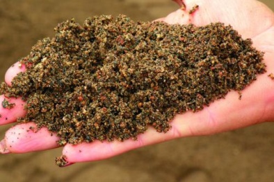 Bộ NN&PTNT bất ngờ với thông tin nhập khẩu đất