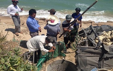 Hành trình đi tìm 'kho báu núi Tàu' nghi chôn dưới 3 giếng nước