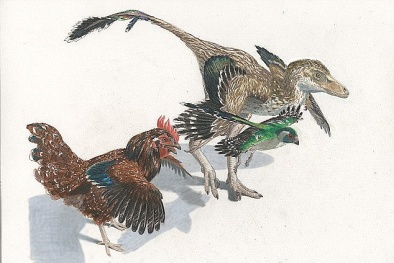 Giới khoa học nuôi tham vọng hồi sinh khủng long từ... gà