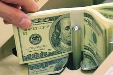 Người Thái đầu tư gần 7 tỷ USD vào công nghiệp chế biến của Việt Nam