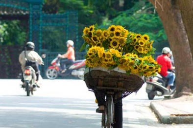 Hà Nội không mưa, nhiệt độ từ 14 – 20 độ C