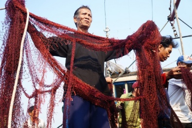 Hội Nghề cá Việt Nam phản đối Hải cảnh Trung Quốc ‘cướp biển’