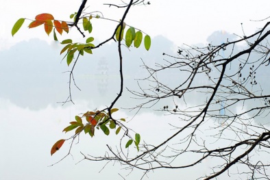 Dự báo thời tiết ngày 16/3/2016: Gió Đông đến Đông Nam cấp 2-3