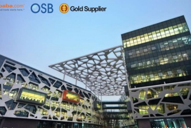 Năm 2016: Đã đến lúc DN Việt đẩy mạnh xuất khẩu trực tuyến