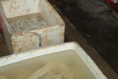 Phát hiện gần 400kg phụ phẩm trâu, bò đang ngâm hóa chất ở TP.HCM