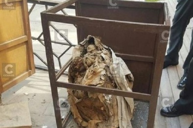 Phụ huynh hoảng hồn khi phát hiện xác ướp trong trường học của con