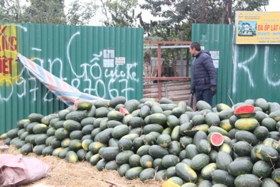 Hà Nội: Đất không nằm trong dự án vẫn bị thu hồi, cưỡng chế?