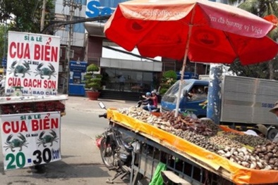 Cua biển Cà Mau bị giả mạo? 