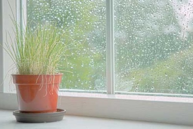 Dự báo thời tiết ngày 21/3/2016: Trời có mưa phùn và sương mù rải rác 