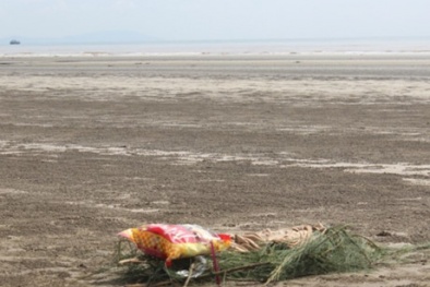 Phát hiện thi thể đi ủng trắng trôi nổi giữa sóng gió biển Quảng Bình