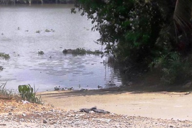 Phát hiện thi thể trên sông Vàm Cỏ Tây cùng 300 ngàn trong túi