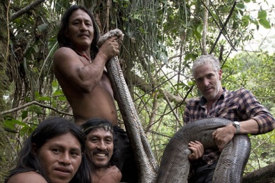 Liều mình bắt trăn khổng lồ dài nhất thế giới trong rừng Amazon