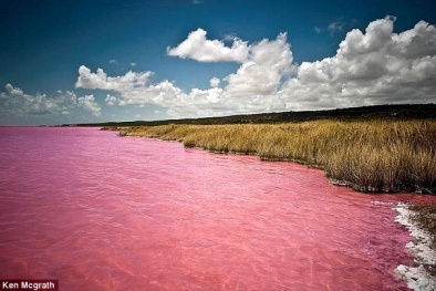 Bí ẩn về hồ nước bất ngờ chuyển màu hồng neon mê hoặc du khách
