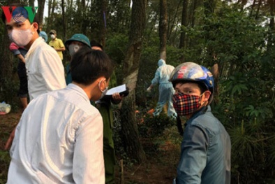 Xác định danh tính thi thể người đàn ông trên triền núi thông