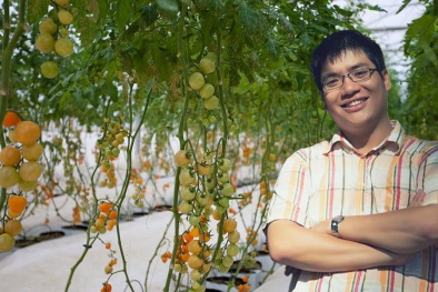 CEO trẻ khởi nghiệp từ những quả cà chua