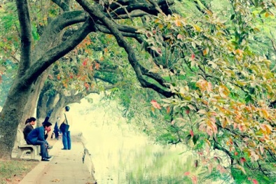 Dự báo thời tiết ngày 26/3/2016: Bắc Bộ trời rét, gió Đông Bắc cấp 3 