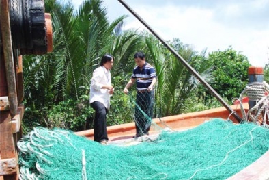 Tăng năng suất khai thác hải sản với mô hình lưới rê hỗn hợp