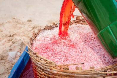 Xác minh khẩn cấp vụ dùng hoá chất nhuộm đỏ ruốc ở Phú Yên