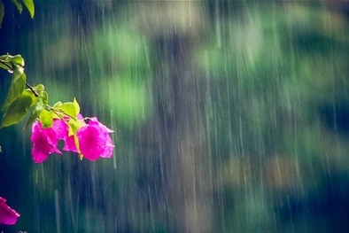 Dự báo thời tiết ngày mai 27/3/2016: Đông Bắc Bộ chìm trong mưa rét