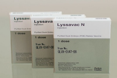 Vắc-xin phòng bệnh dại kém chất lượng bị đình chỉ lưu hành