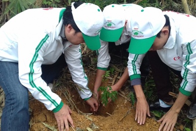 Trồng rừng 'Vì một Việt Nam xanh' góp phần bảo vệ môi trường
