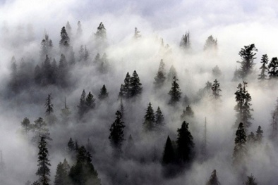 Dự báo thời tiết ngày 29/3/2016: Bắc Bộ trời rét, sáng sớm có sương mù