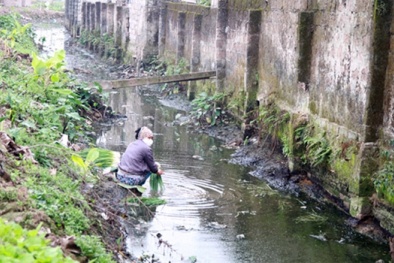 Kiểm tra tình trạng 'tắm trắng' rau bằng nước thải đen kịt