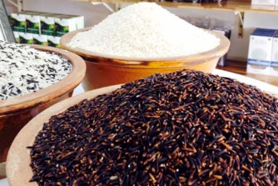 Mê trận gạo lạ