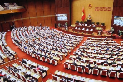 Tuần này, bầu tân Chủ tịch nước và tân Chủ tịch Quốc hội