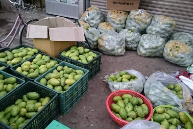 Tin tức thị trường trong ngày 30/3: Xoài keo Campuchia ‘gây sốt’, dân buôn trúng đậm 