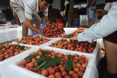 Bắc Giang hỗ trợ doanh nghiệp áp dụng hệ thống quản lý tiên tiến