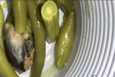 Chết đứng khi thấy đầu chuột chết trong lon đậu que đóng hộp Best Choice