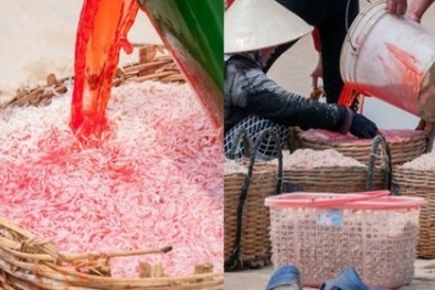  'Bó tay' với phẩm màu nhuộm ruốc ở Phú Yên