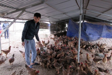 Cử nhân 8X thích bị 'giời đày' 