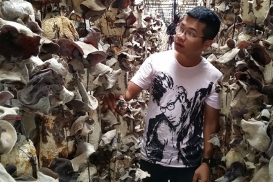 Tỉ phú nấm mèo