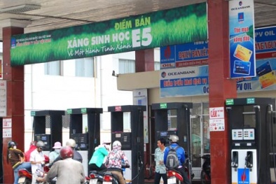 Người dân 8 thành phố nào chuẩn bị phải dùng xăng E5?