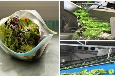 Rau sống đóng gói sẵn mang vi khuẩn có thể gây viêm màng não