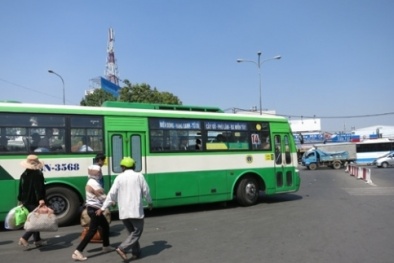 TP.HCM mở lại 2 tuyến xe buýt đi huyện Cần Giờ