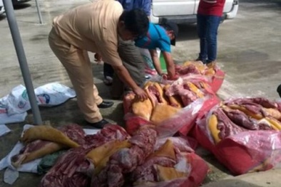 Lái xe 'ngậm hột thị' khi bị hỏi về nửa tấn thịt đông lạnh trên xe