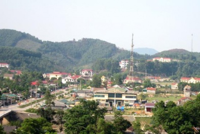 Chủ tịch xã dùng bằng giả để 'thăng quan tiến chức'