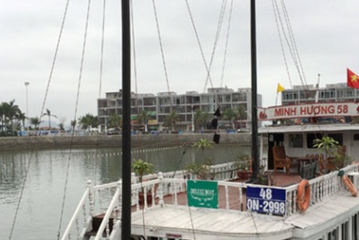 ‘Cò chém khách’ 10 triệu cho 4 giờ trên Vịnh Hạ Long: ‘Họ làm thế như trò hề’