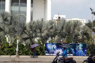 Không cấp giấy phép tổ chức triển lãm cưới cho Đông Phương group