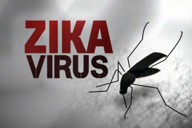 Nguy cơ dịch virus Zika xâm nhập vào Hà Nội rất lớn