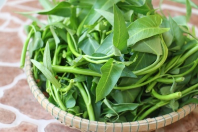 Cách phân biệt rau muống nhiễm chì độc hại đơn giản nhất