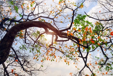 Dự báo thời tiết ngày 10/4/2016: Bắc Bộ trưa chiều giảm mây, trời nắng