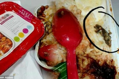 AirAsia vào cuộc vụ khách tố có xác thằn lằn trong đồ ăn trên máy bay